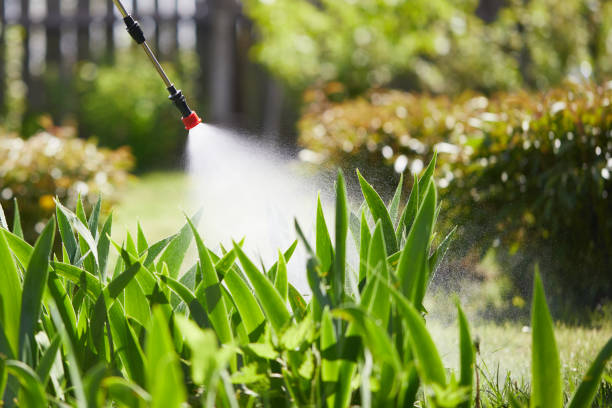 24/7 Emergency Mosquito Control experts in Lexington, MN
